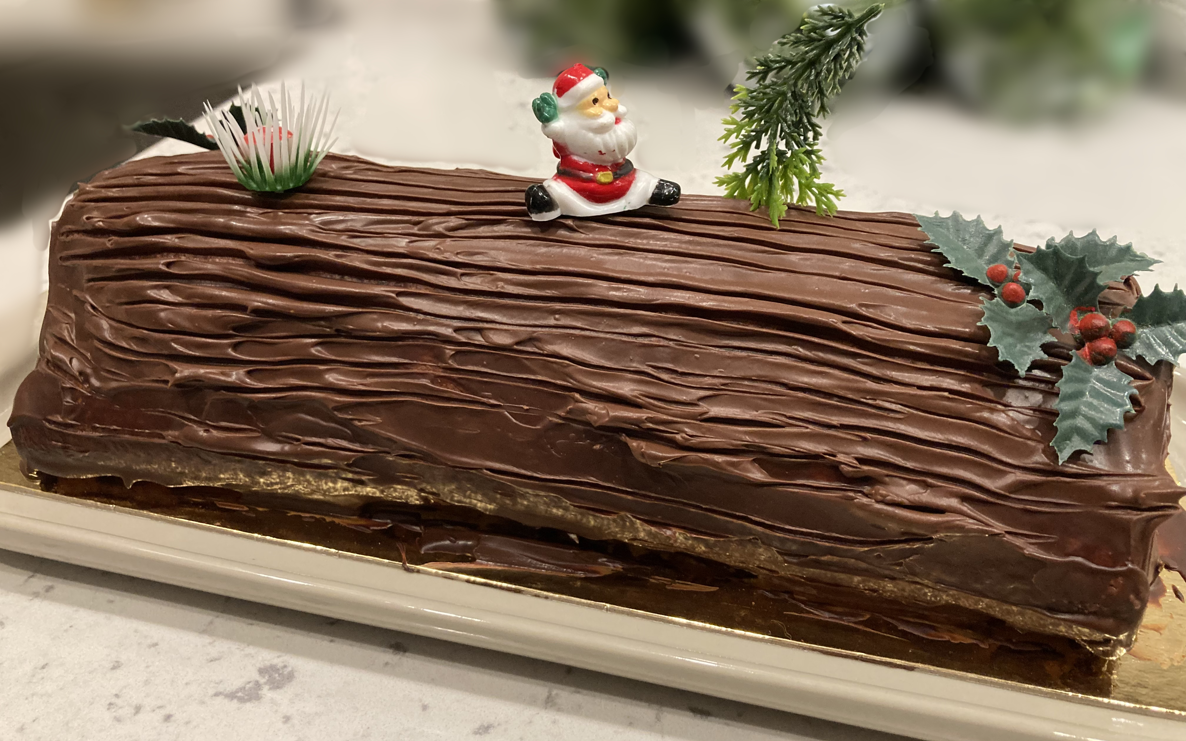 Bûche de Noël