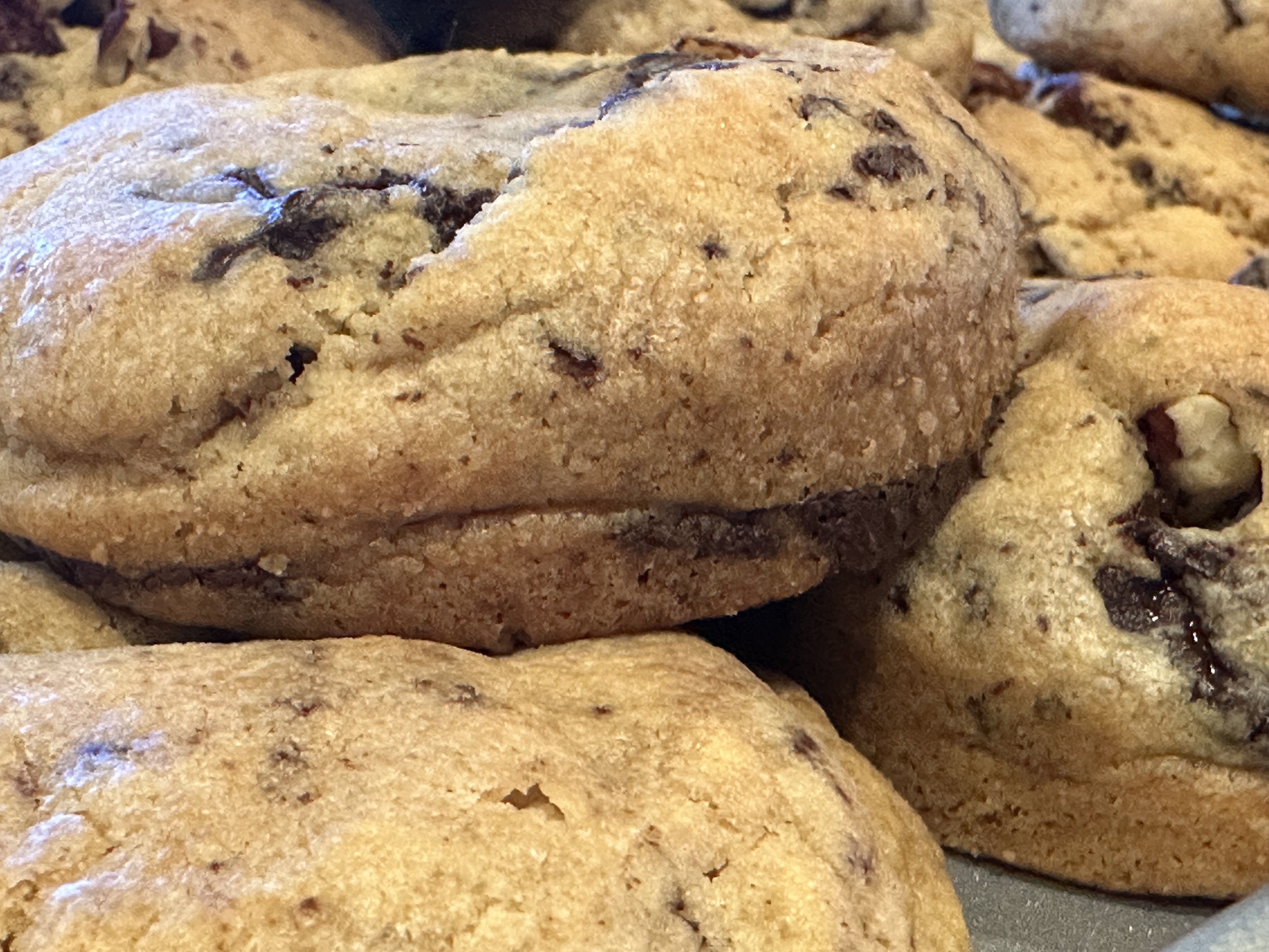 Chocolate Chip Cookies